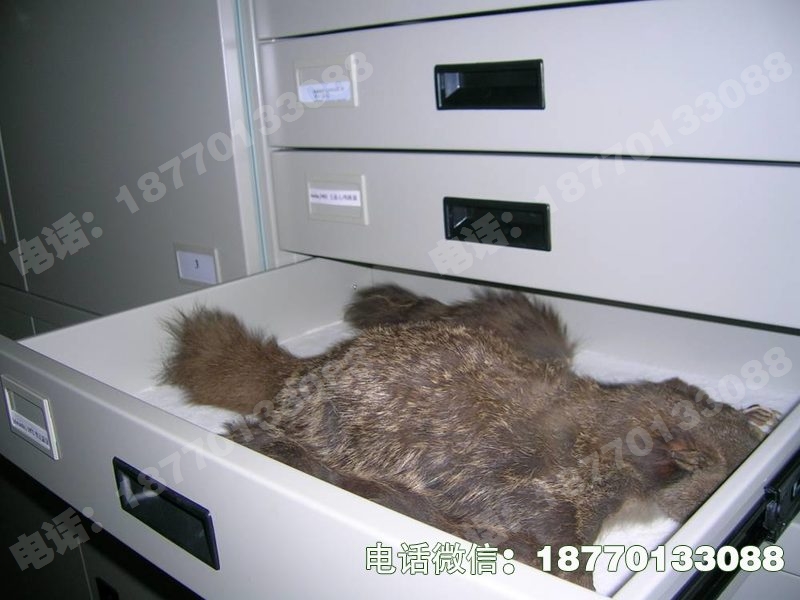 吉县动物标本密集柜